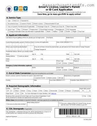 Official Massachusetts Id Application Template