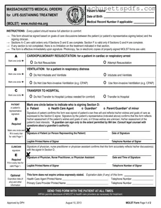 Official Massachusetts Molst Template