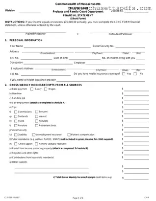 Official Massachusetts Short Financial Statement Template